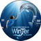 L'INCROYABLE HISTOIRE DE WINTER LE DAUPHIN